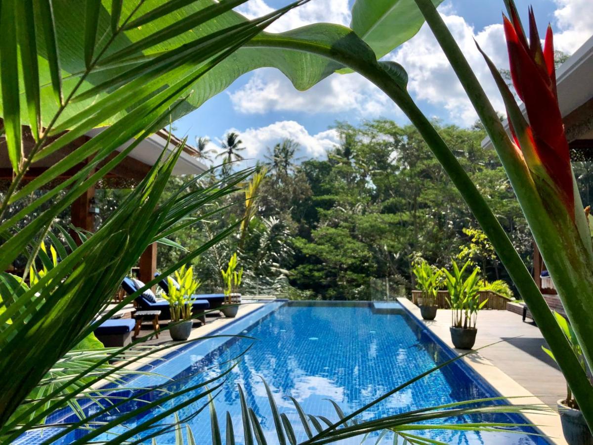 Puri Kasih Gottlieb Hotel Ubud  Luaran gambar