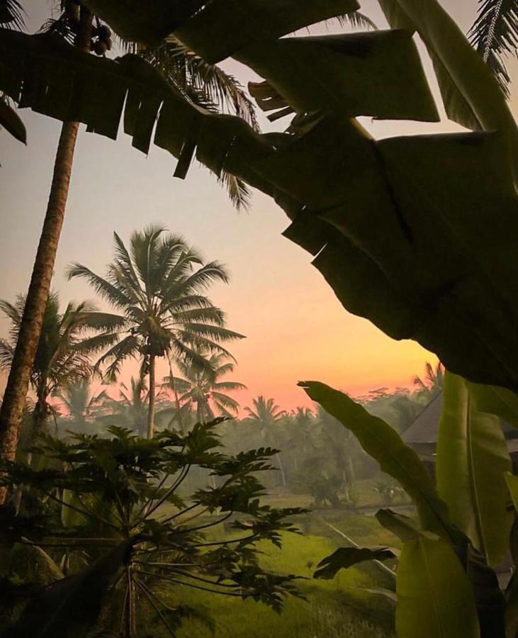 Puri Kasih Gottlieb Hotel Ubud  Luaran gambar