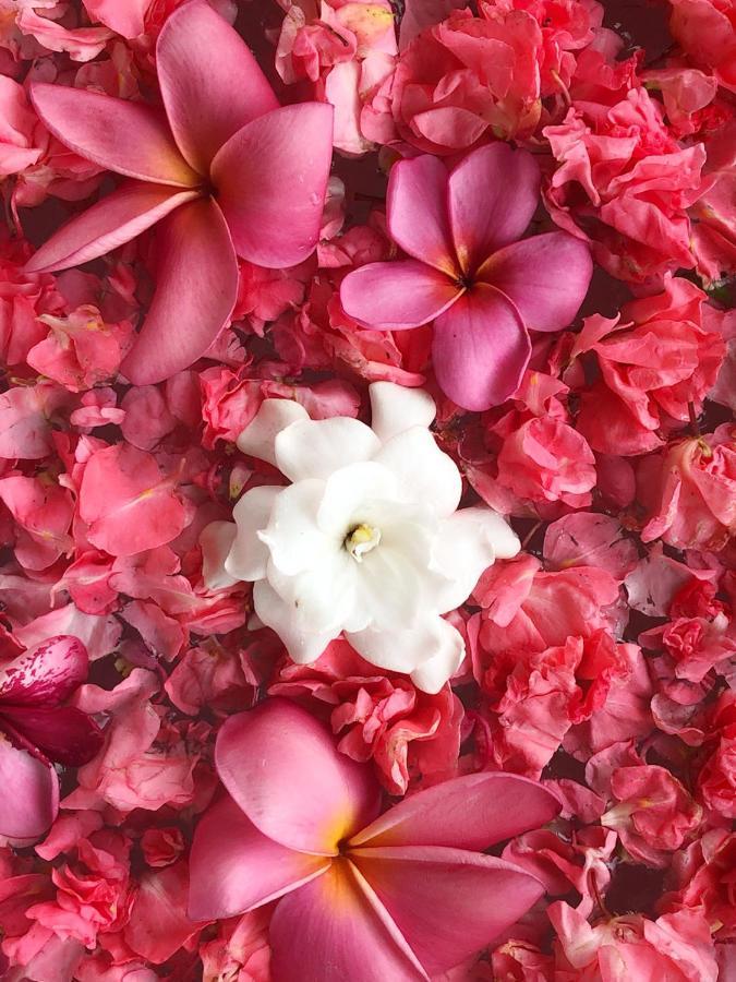 Puri Kasih Gottlieb Hotel Ubud  Luaran gambar